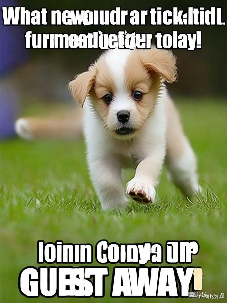 萌娃抖音吸粉文案怎么写_萌娃抖音文案撰写法插图