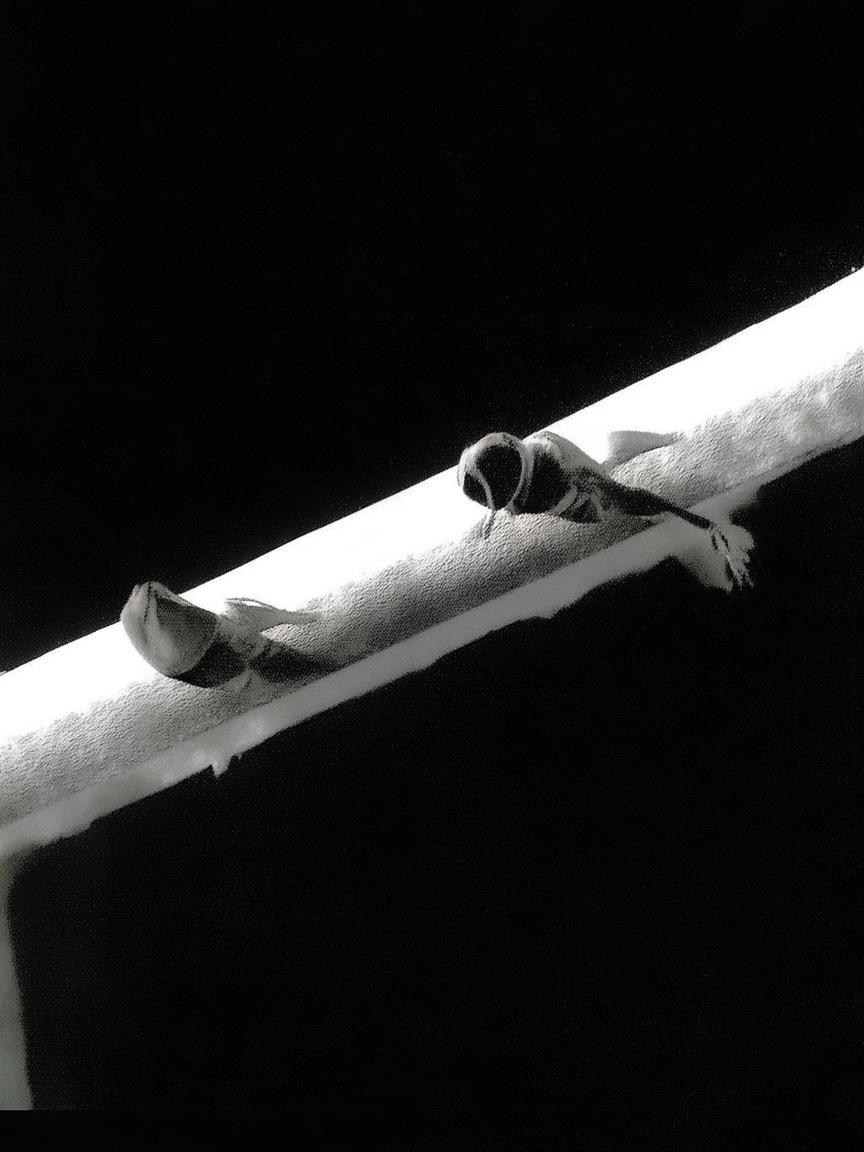 抖音账号吸引精准粉丝吗_抖音精准吸粉？插图